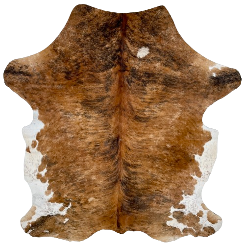 Reddish Brown and Black Colombian Brindle Cowhide: has a mix of reddish brown and tan, with black, brindle markings, one white spot on the shoulder, and white with brown and black speckles and spots on the belly and hind shanks - 7'3" x 5'4" (COBR1475)