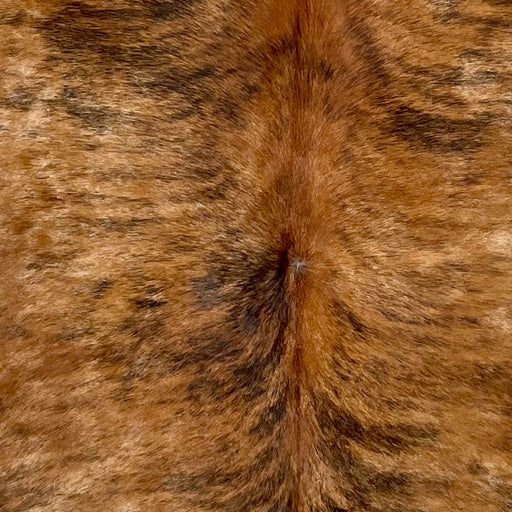 Closeup of this Colombian Brindle Cowhide, showing a mix of reddish brown and tan, with black, brindle markings, one white spot on the shoulder  (COBR1475)