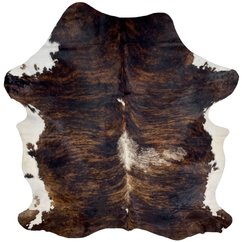 Colombian Black and Brown Brindle Cowhide: black with brown, brindle markings, a speckled white spot on the right side, and white on the belly - 7'5" x 5'11" (COBR1476)