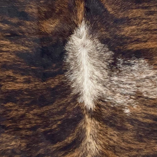 Closeup of this Colombian Brindle Cowhide, showing black with brown, brindle markings, and a speckled, white spot on the right side (COBR1476)