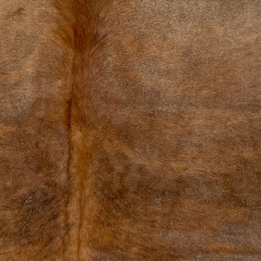 Closeup of this Large Colombian Brindle Cowhide, showing brown with muted, reddish brown, brindle markings, and reddish brown down the spine (COBR1477)