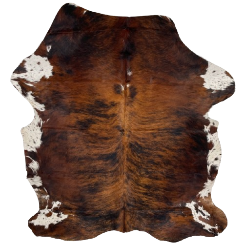 Reddish Brown and Black Colombian Brindle Cowhide: reddish brown with black, brindle markings, and white with brown and black speckles on the belly - 6'5" x 4'11" (COBR1498)