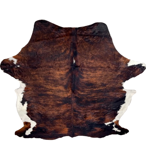 XXL Black and Reddish Brown Colombian Brindle Cowhide: black and reddish brown, with a small, white spot in the middle of the shoulder, and white on the belly and part of the shanks - 8'11" x 6'7" (COBR1559)