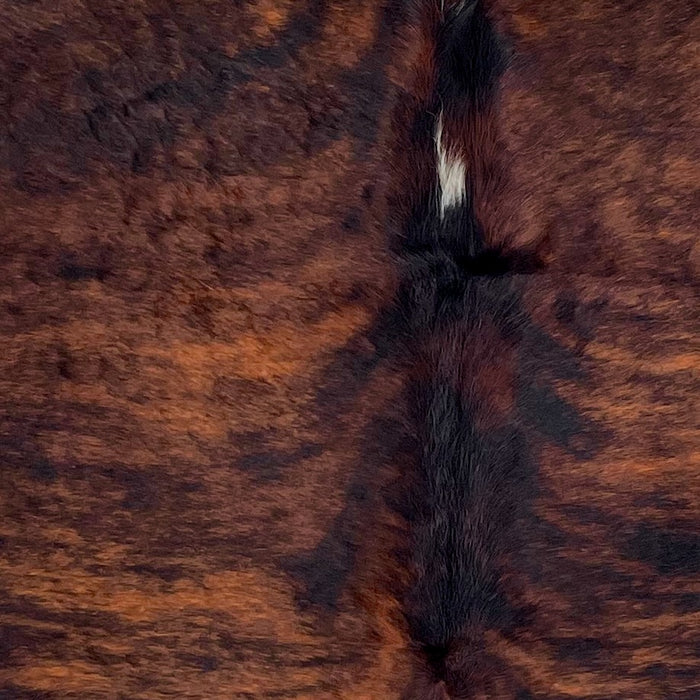 Closeup of this XXL Colombian Brindle Cowhide, showing black and reddish brown, with a small, white spot in the middle of the shoulder (COBR1559)