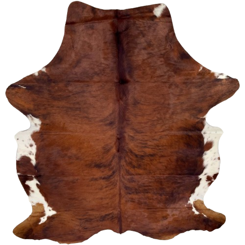 Large Red Brown and Black Colombian Brindle Cowhide: red brown with black, brindle markings, and white with red brown speckles and spots on the belly - 7'8" x 5'8" (COBR1560)