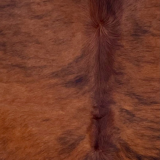Closeup of this Large Colombian Brindle Cowhide, showing red brown with black, brindle markings (COBR1560)