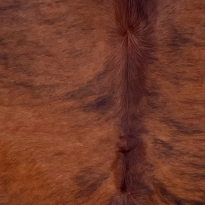 Closeup of this Large Colombian Brindle Cowhide, showing red brown with black, brindle markings (COBR1560)