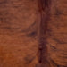Closeup of this Large Colombian Brindle Cowhide, showing red brown with black, brindle markings (COBR1560)