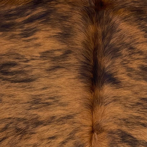 Closeup of this Colombian Brindle Cowhide, showing  brown with black, brindle markings (COBR1563)