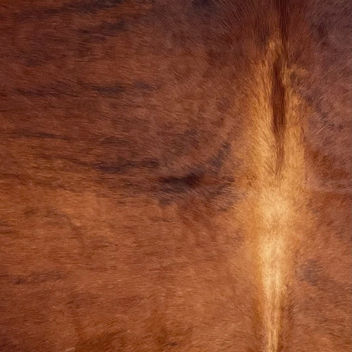 Closeup of this Colombian Brindle Cowhide, showing red brown with black, brindle markings, and lighter brown down the spine (COBR1564)