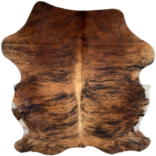 Brown and Black Colombian Brindle Cowhide: brown with black, brindle markings, lighter brown down the spine, and white on part of the belly - 6'7" x 5'5" (COBR1565)