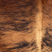 Closeup of this Colombian Brindle Cowhide, showing brown with black, brindle markings, and  lighter brown down the spine (COBR1565)