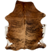 Brown and Black Colombian Brindle Cowhide: brown with black, brindle markings, and white on the belly - 6'9" x 4'11" (COBR1566)
