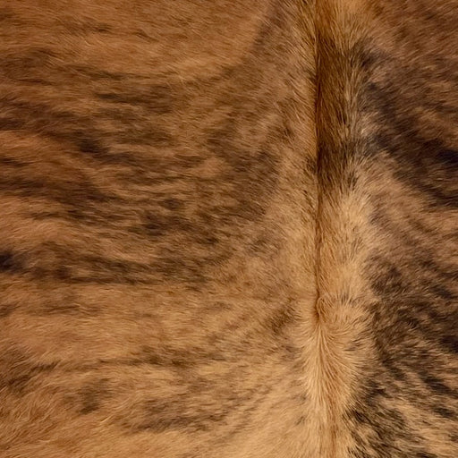 Closeup of this Colombian Brindle Cowhide, showing brown with black, brindle markings (COBR1566)