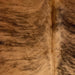 Closeup of this Colombian Brindle Cowhide, showing brown with black, brindle markings (COBR1566)