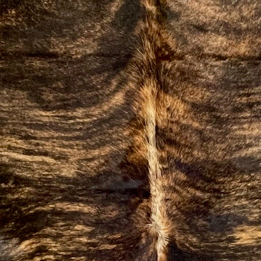 Closeup of this XL Colombian Brindle Cowhide, showing black with brown, brindle markings and light brown down part of the spine (COBR1567)