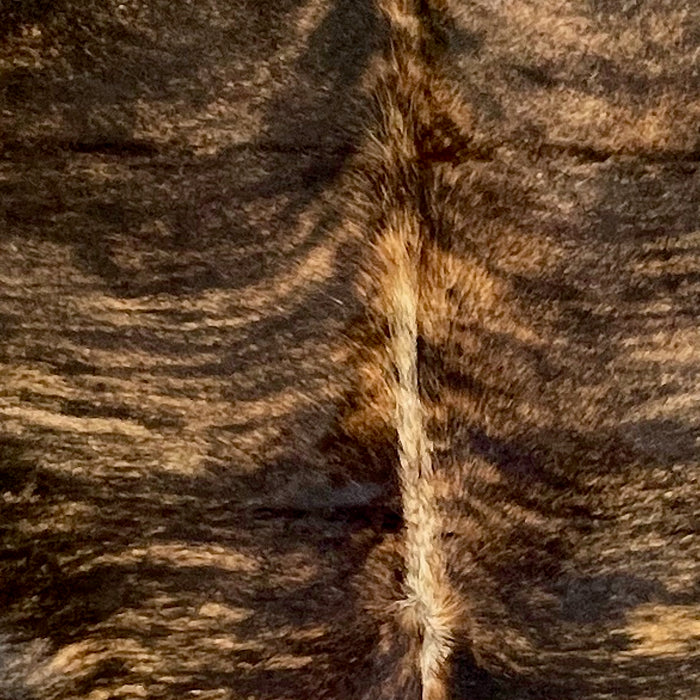 Closeup of this XL Colombian Brindle Cowhide, showing black with brown, brindle markings and light brown down part of the spine (COBR1567)