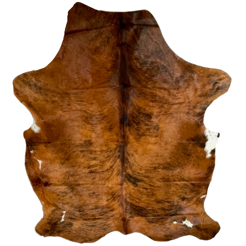 XL Red Brown and Black Colombian Brindle Cowhide: red brown with black, brindle markings, and a few small, white spots on the sides - 8'1" x 5'11" (COBR1568)