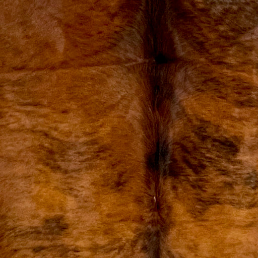 Closeup of this XL Colombian Brindle Cowhide, showing red brown with black, brindle markings (COBR1568)
