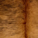 closeup of this Colombian Brindle Cowhide, showing golden brown with black, brindle markings, and long red brown hair down the spine (COBR1569)