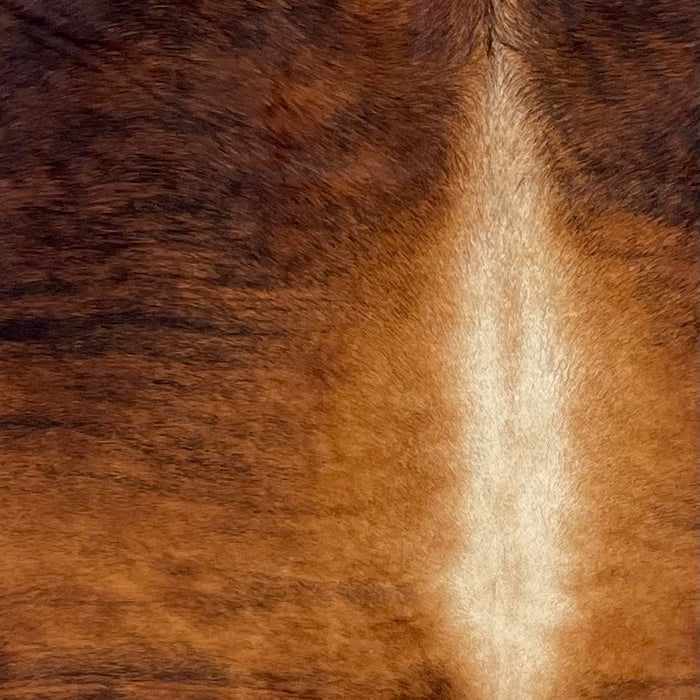 Closeup of this XXL Colombian Brindle Cowhide, showing black and reddish brown, with off-white down part of the spine (COBR1571)