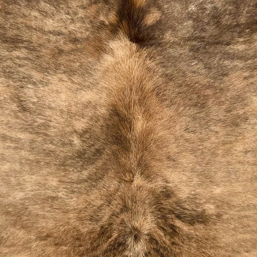 Closeup of this Colombian Brindle Cowhide, showing light brown and caramel with dark brown, brindle markings  (COBR1598)