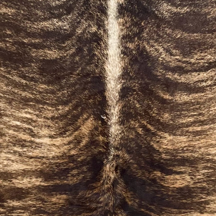 Closeup of this Colombian Brindle Cowhide, showing dark brown and light tan with white down part of the spine  (COBR1600)
