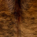 Closeup of this Colombian Brindle Cowhide, showing reddish brown with black, brindle markings, and longer hair down the spine (COBR1602)
