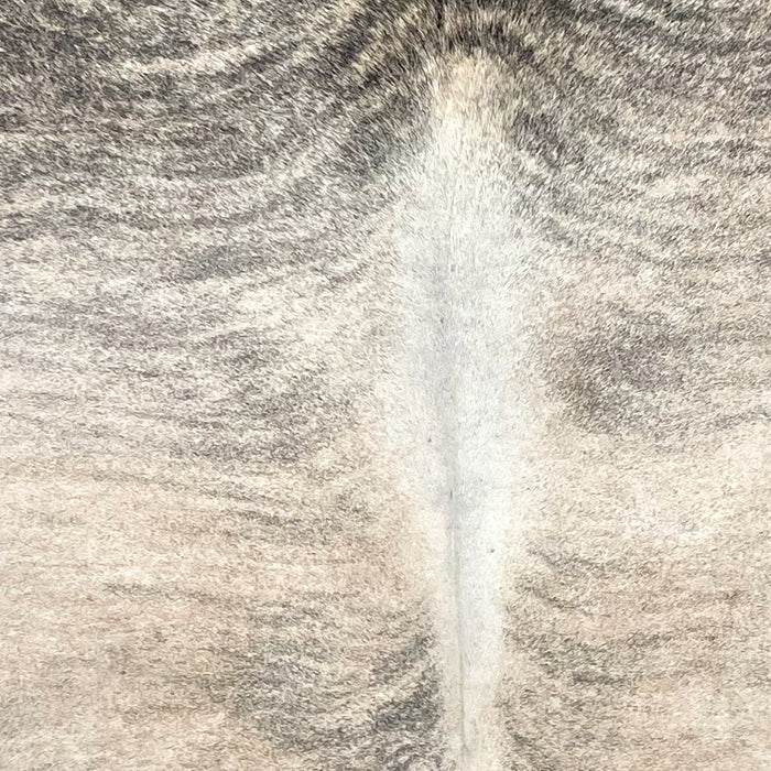 Closeup of this Large Colombian Brindle Cowhide, showing light brown and off-white with black and gray, brindle markings (COBR1603)