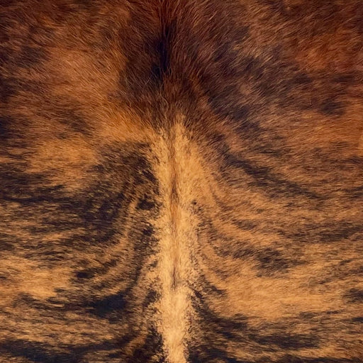 Closeup of this Large Colombian Brindle Cowhide, showing red brown with black, brindle markings (COBR1604)
