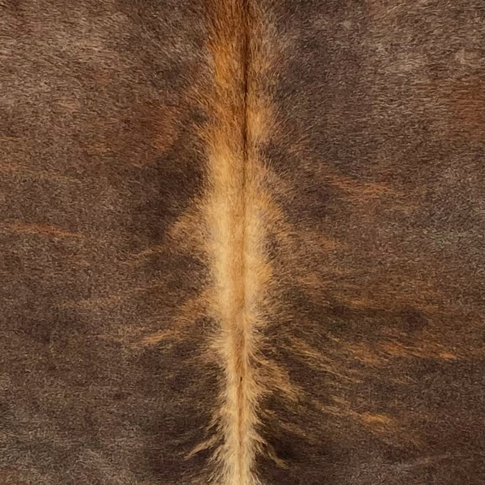 Closeup of this Large Colombian Brindle Cowhide, showing mostly solid brown, with faint reddish brown, brindle markings down the middle, and light brown and reddish brown down the spine  (COBR1606)