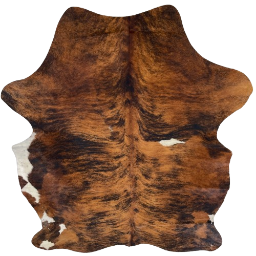 Reddish Brown and Black Colombian Brindle Cowhide: reddish brown with black, brindle markings, one white spot on the right side of the back, and white on part of the belly and left, hind shank - 6'10" x 5'3" (COBR1607)