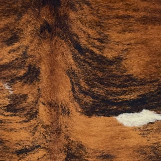 Closeup of this Colombian Brindle Cowhide, showing reddish brown with black, brindle markings, and one white spot on the right side of the back (COBR1607)