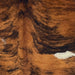 Closeup of this Colombian Brindle Cowhide, showing reddish brown with black, brindle markings, and one white spot on the right side of the back (COBR1607)