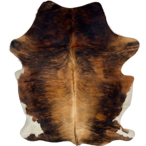 Reddish Brown and Black Colombian Brindle Cowhide: reddish brown with black, brindle markings, golden brown and light brown down the middle of the back, white on part of the belly and hind shanks, and longer hair on part of the spine - 6'2" x 4'6" (COBR1608)