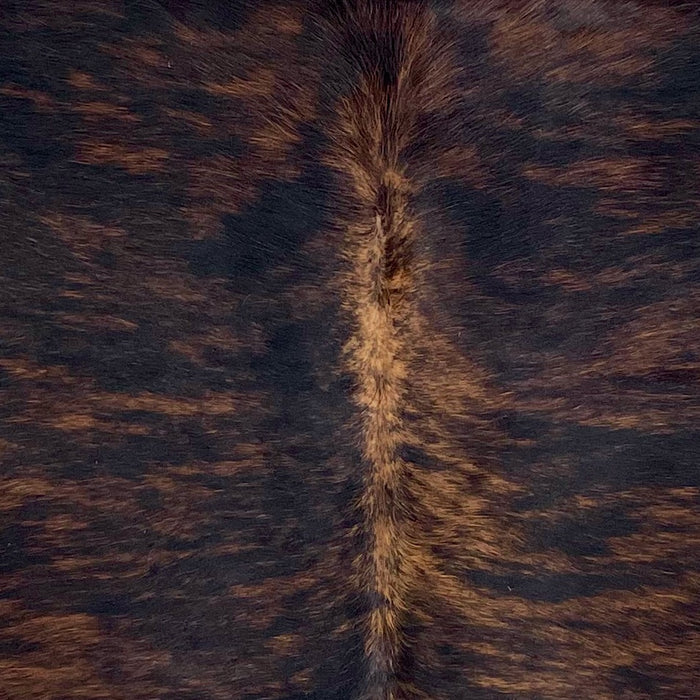 Closeup of this Colombian Brindle Cowhide, showing black with reddish brown, brindle markings, and longer hair down the spine (COBR1610)