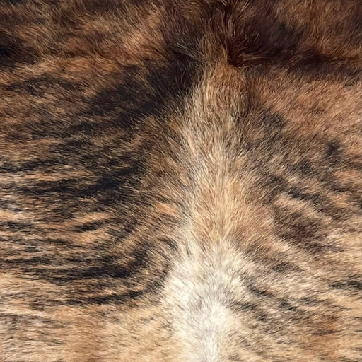 Closeup of this Colombian Brindle Cowhide, showing brown and light tan, with black, brindle markings, and off-white on part of the belly (COBR1611)