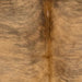 Closeup of this Colombian Brindle Cowhide, showing light reddish brown with black, brindle markings, and longer hair down the spine (COBR1612)