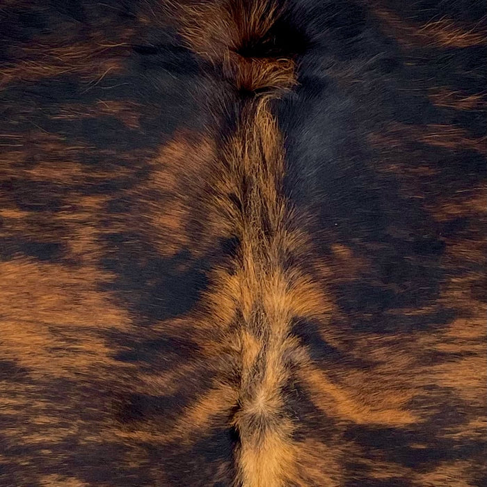 Closeup of this Colombian Brindle Cowhide, showing black with reddish brown, brindle markings (COBR1613)