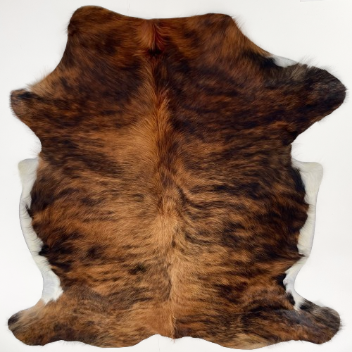 Reddish Brown and Black Colombian Brindle Cowhide: has long hair that is reddish brown with black, brindle markings, and white on the belly - 6'3" x 4'10" (COBR1615)