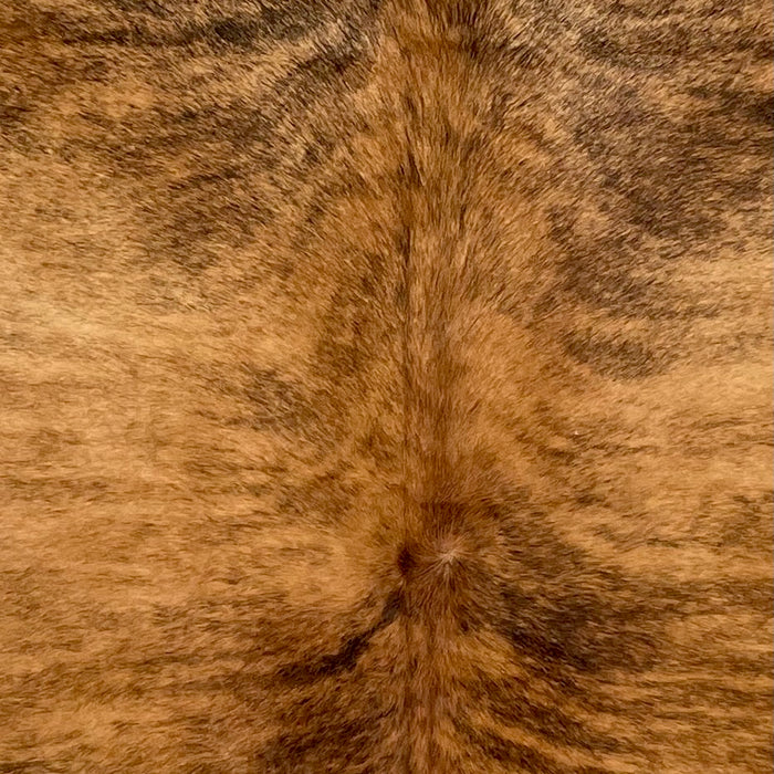 Closeup of this Colombian Brindle Cowhide, showing brown with black, brindle markings, and reddish brown down part of the spine (COBR1616)