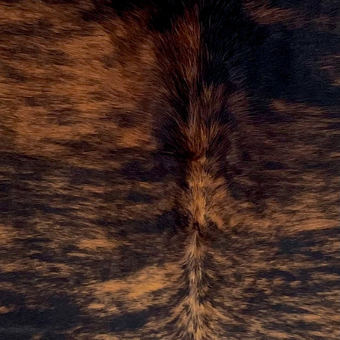 Closeup of this Large Colombian Brindle Cowhide, showing black with reddish brown, brindle markings (COBR1617)