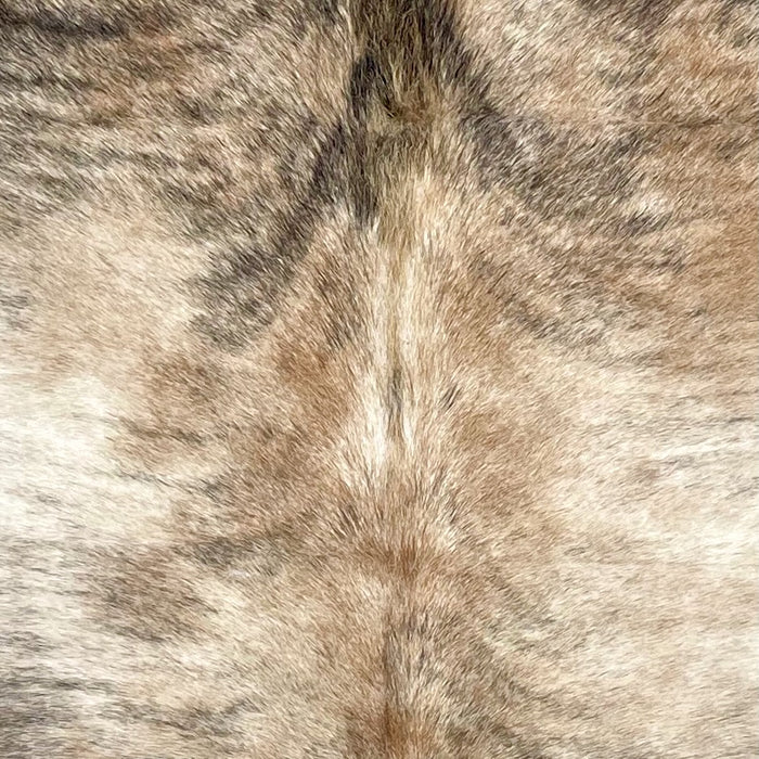 Closeup of this Colombian Brindle Cowhide, showing ivory and light brown with black, brindle markings (COBR1618)