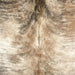 Closeup of this Colombian Brindle Cowhide, showing ivory and light brown with black, brindle markings (COBR1618)