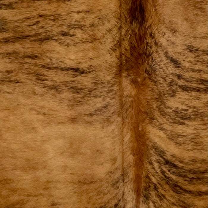 closeup of this Colombian Brindle Cowhide, showing reddish brown with black, brindle markings (COBR1619)