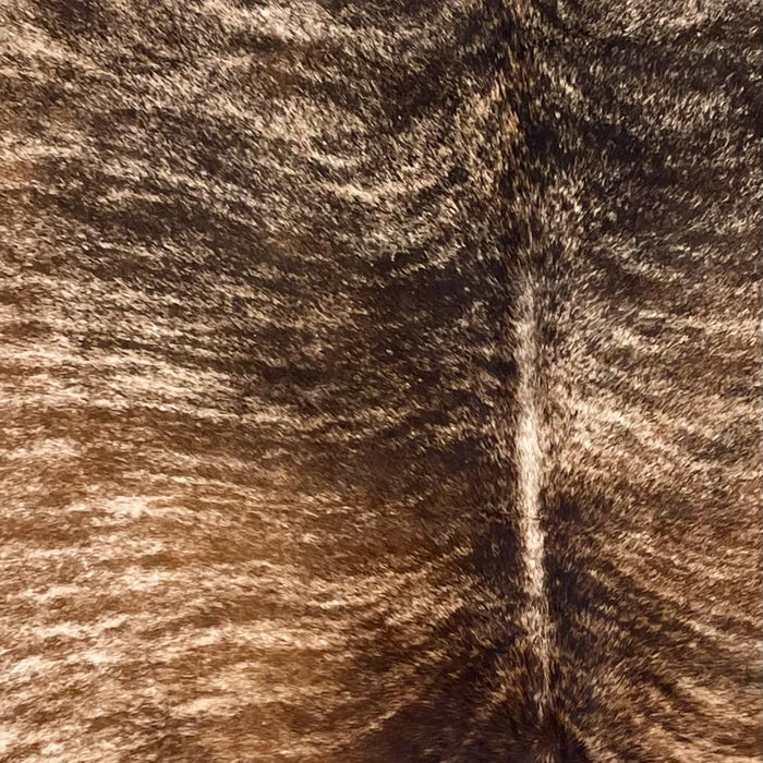 Closeup of this Colombian Brindle Cowhide, showing ivory with golden brown, dark brown, and black, brindle markings (COBR1620)