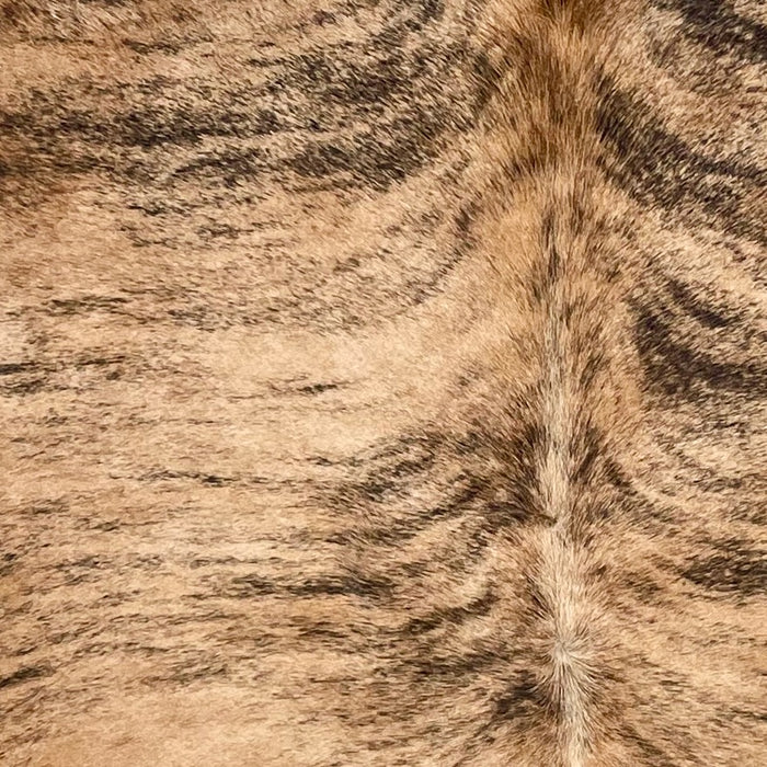 Closeup of this Colombian Brindle Cowhide, showing light brown with black, brindle markings  (COBR1622)