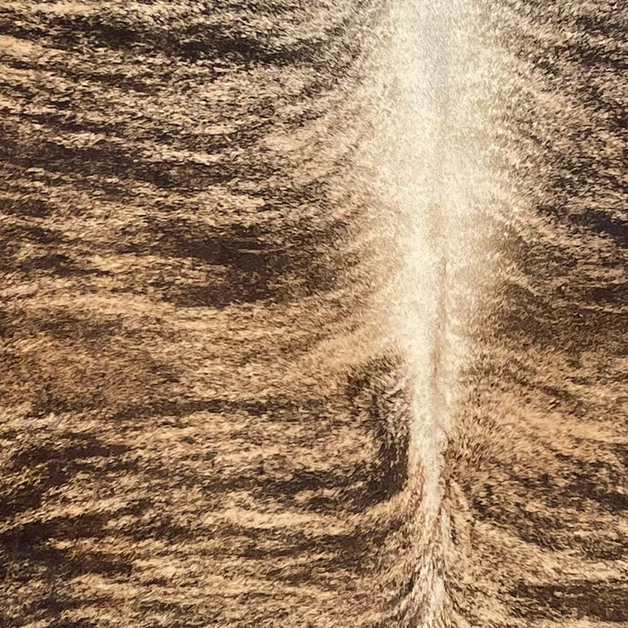 Closeup of this Colombian Brindle Cowhide, showing light brown with black, brindle markings, an d ivory down part of the spine (COBR1623)