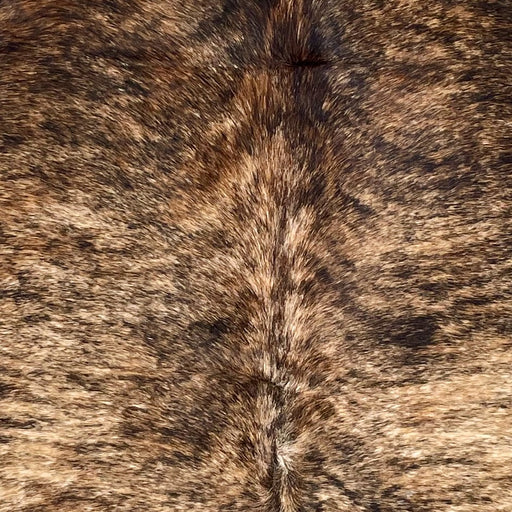 Closeup of this Large Colombian Brindle Cowhide, showing off-white and brown with black, brindle markings  (COBR1624)