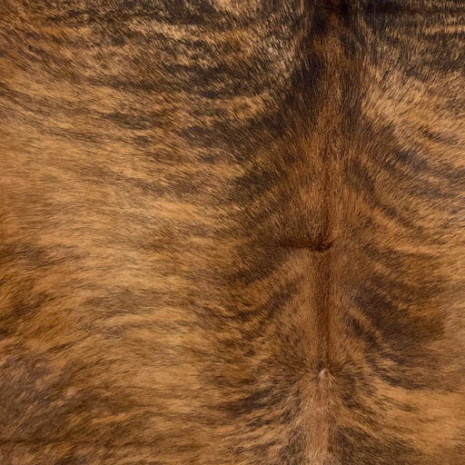 Closeup of this Colombian Brindle Cowhide, showing reddish brown with black and dark brown, brindle markings  (COBR1625)